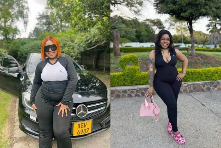 Zimbabwe Republic Police ZRP headquarters Harare, extradition request Malloti South Africa robbery case 2026